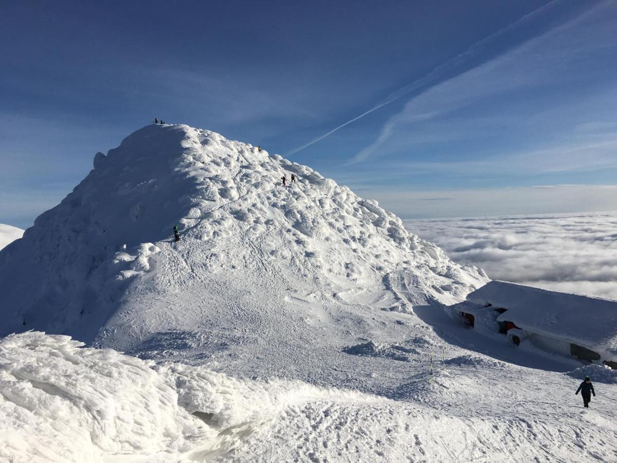 Chata Pri Jaskyni Bystrá Buitenkant foto